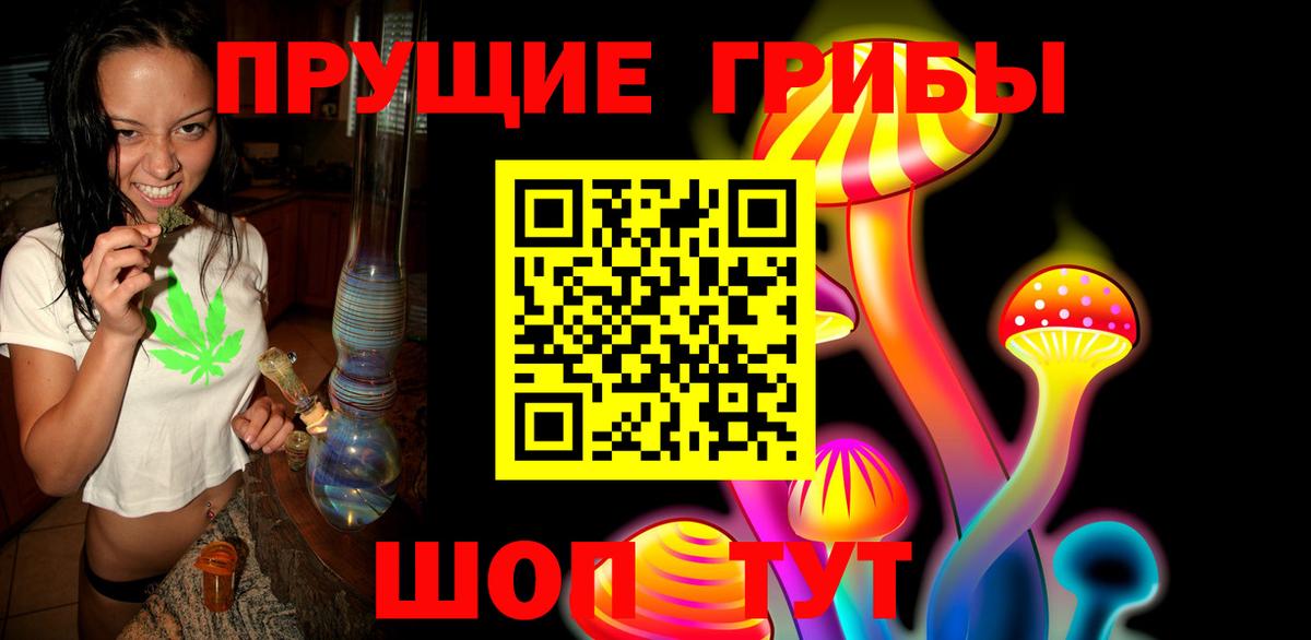 Псилоцибиновые грибы GOLDEN TEACHER Сунжа