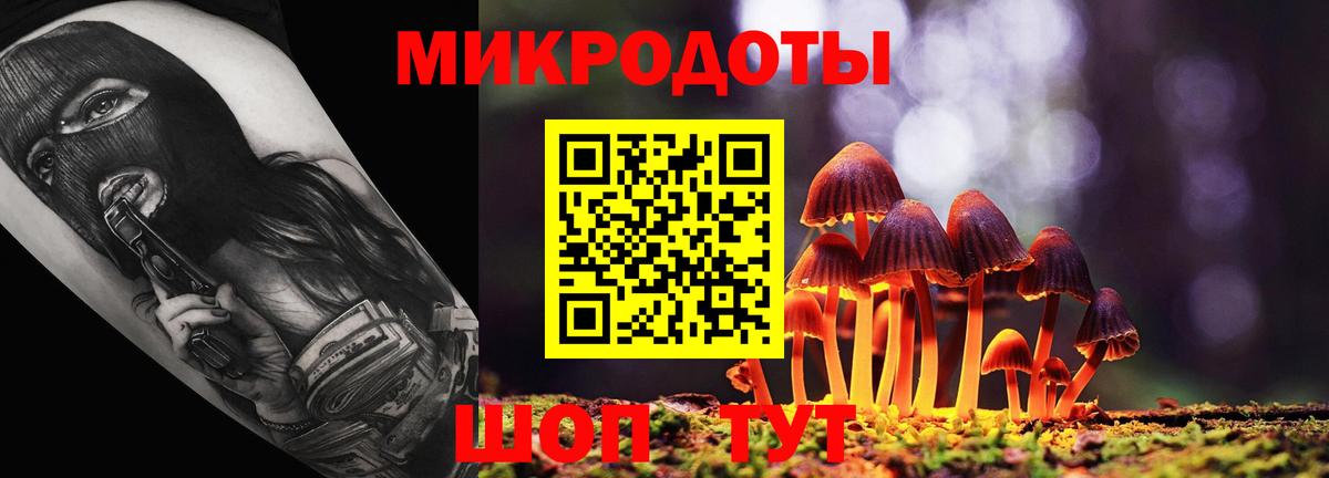 Галлюциногенные грибы ЛСД  Вход с VPN  Сунжа 